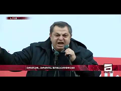 დები ბერძენიშვილების შეხედულებები